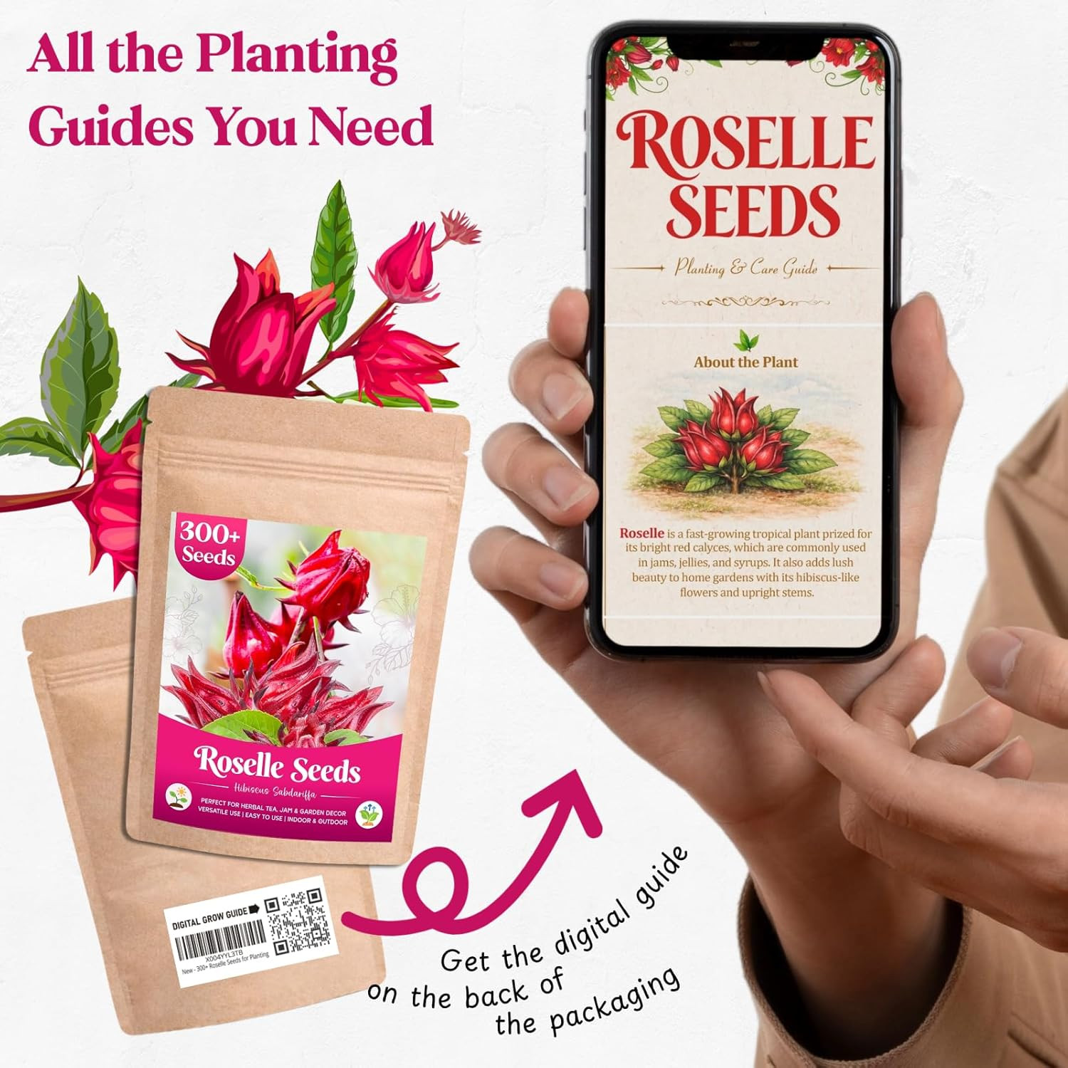 300+ Roselle Seeds for Planting – Hibiscus Sabdariffa, Jamaican Sorrel Seeds Cra