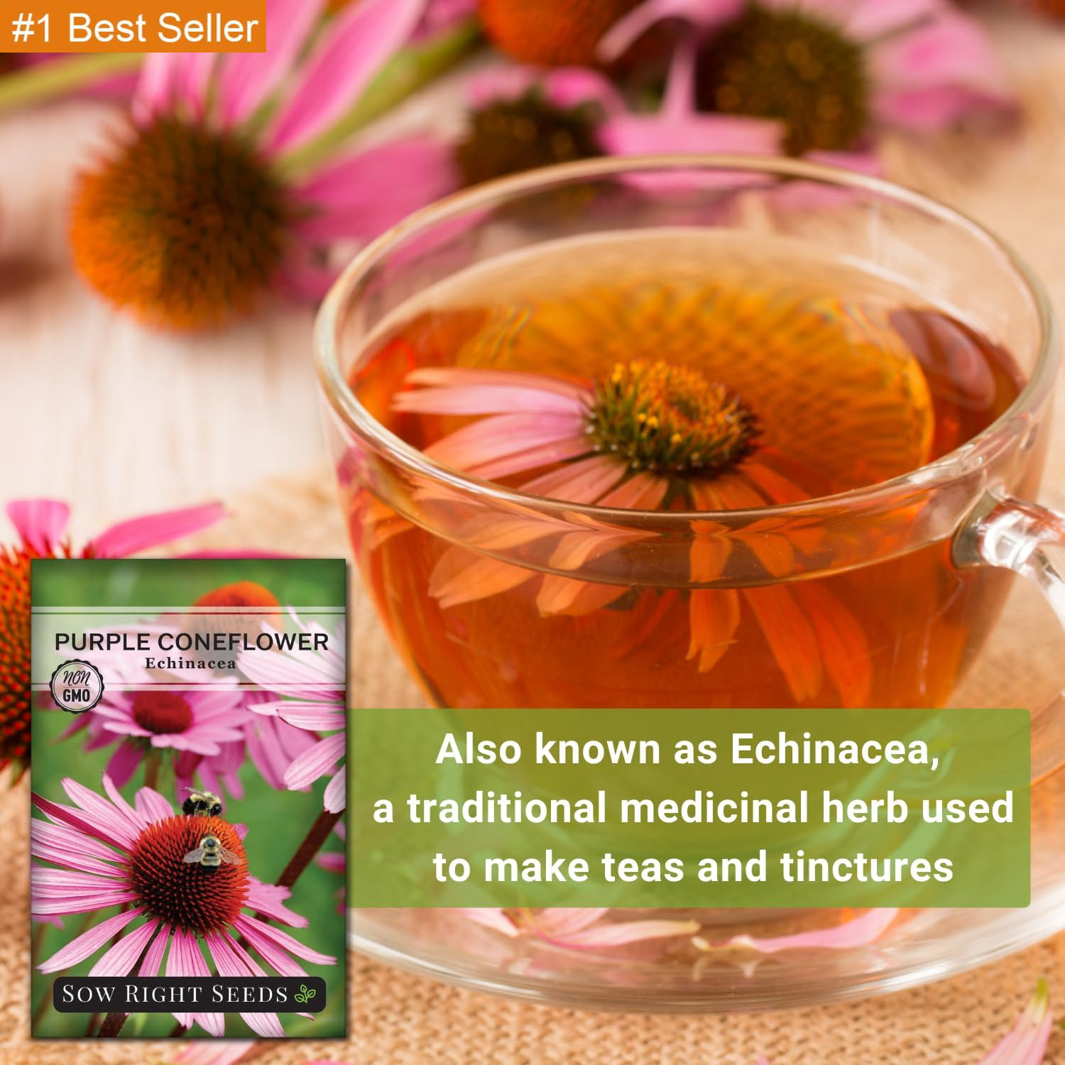 Sow Right Seeds – Purple Coneflower/Echinacea Flower Seeds for Planting – Non-Gm