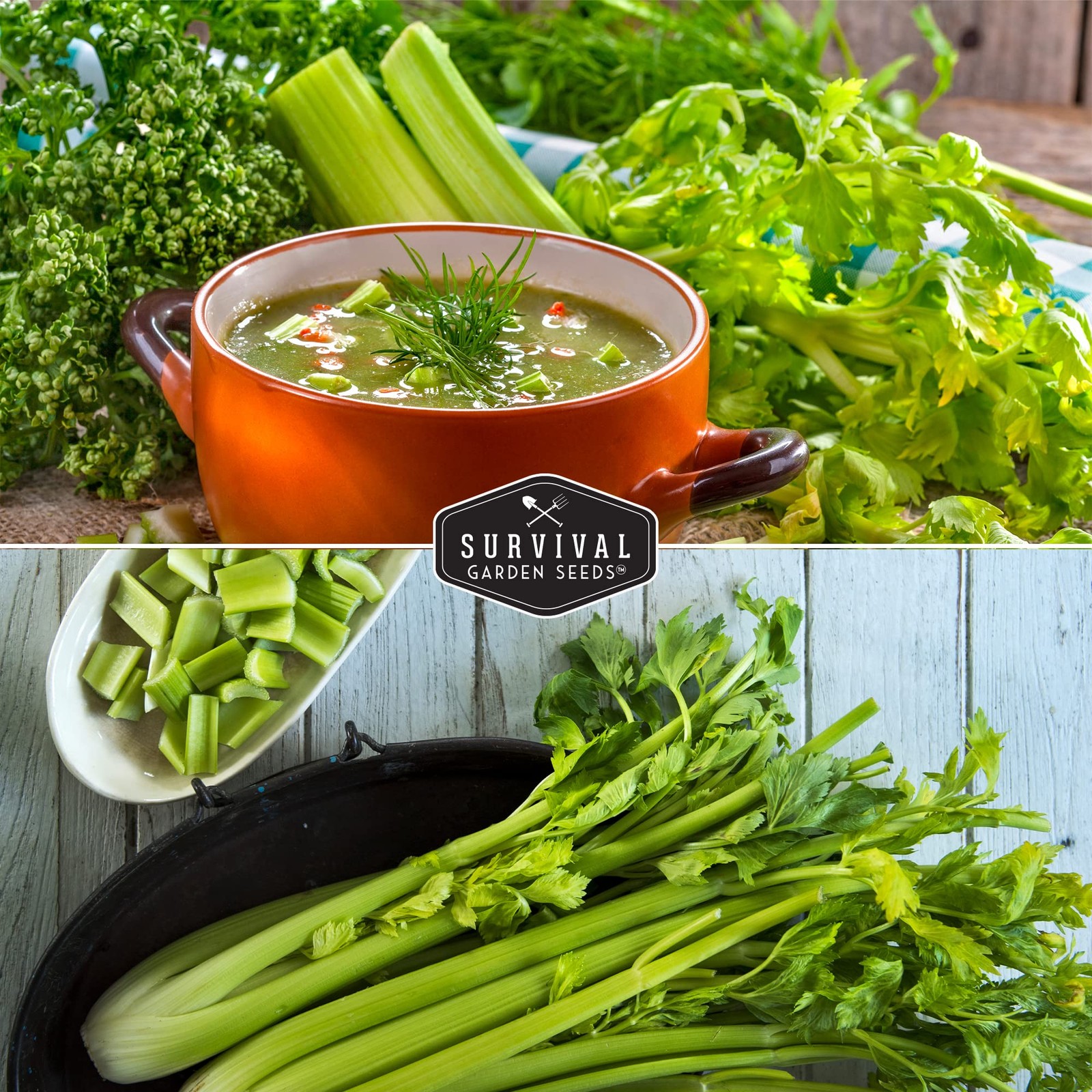 Celery Collection for Planting – 2 Packet with Instructions to Plant and Grow…