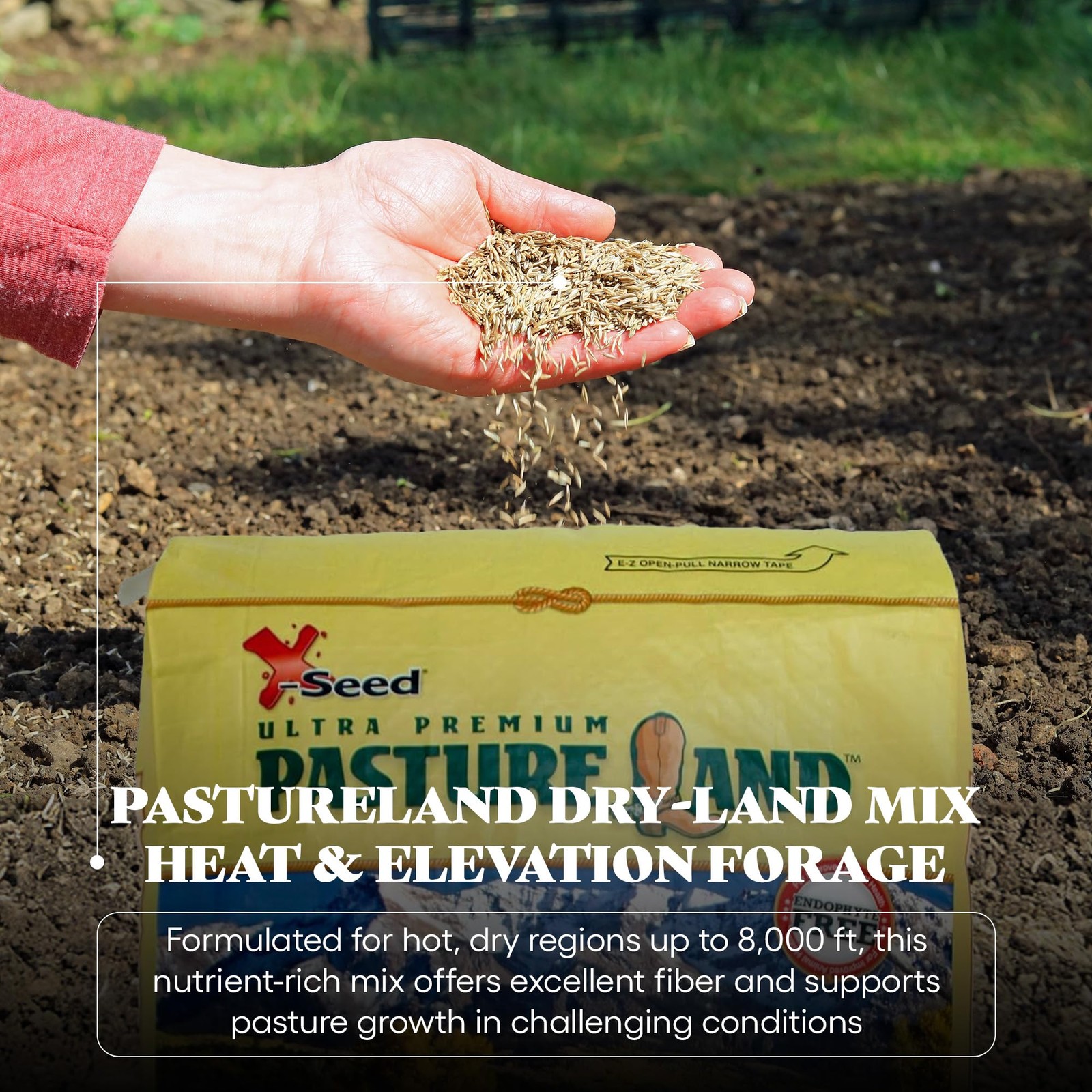 “Dry-Land Forage Seed Mixture for Livestock Nutrition – 7 lb Tall Fescue &