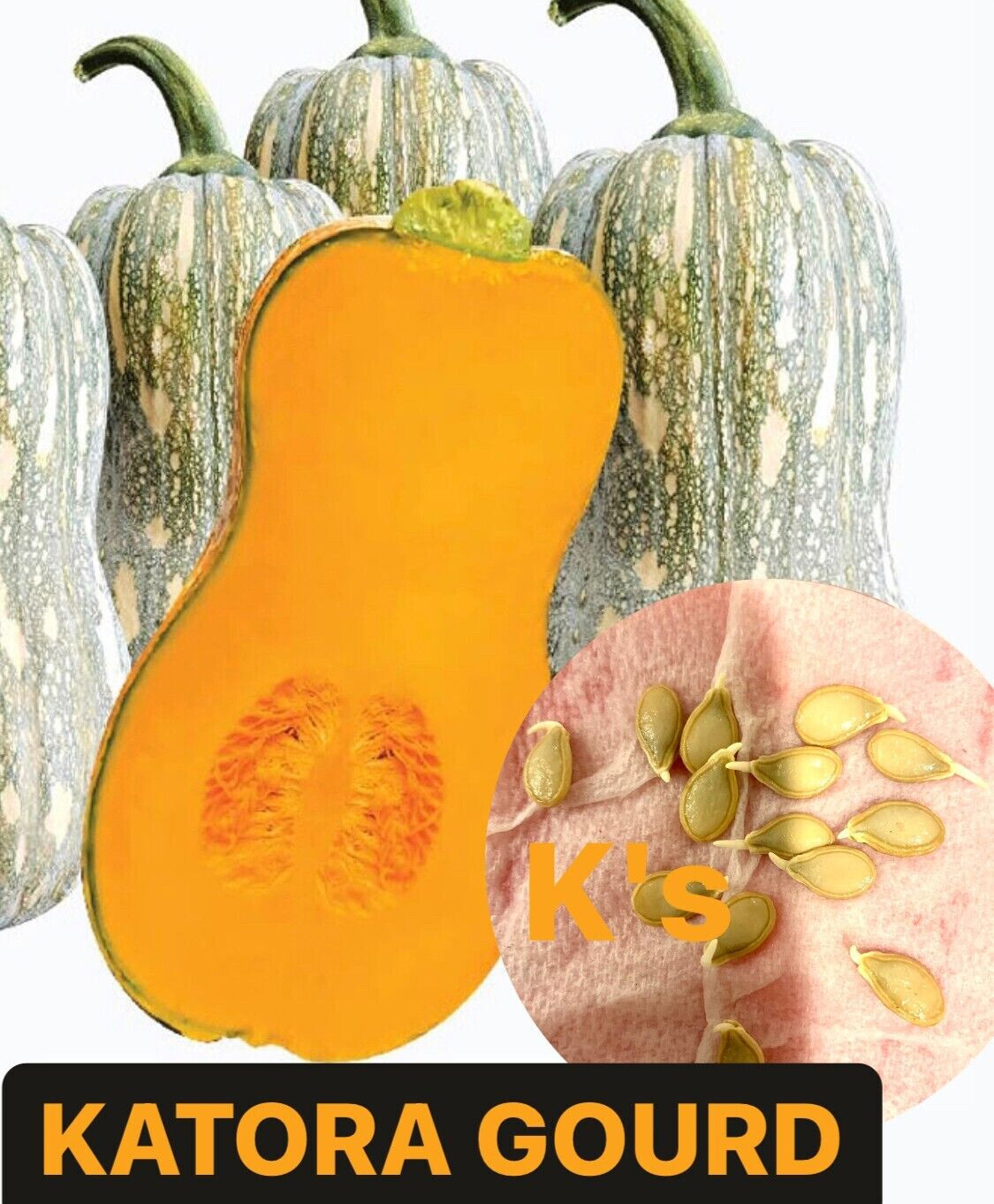 (1 PCS) KATORA GOURD, BÍ HẠT ĐẬU KAROTA SIÊU NGON NGỌT
