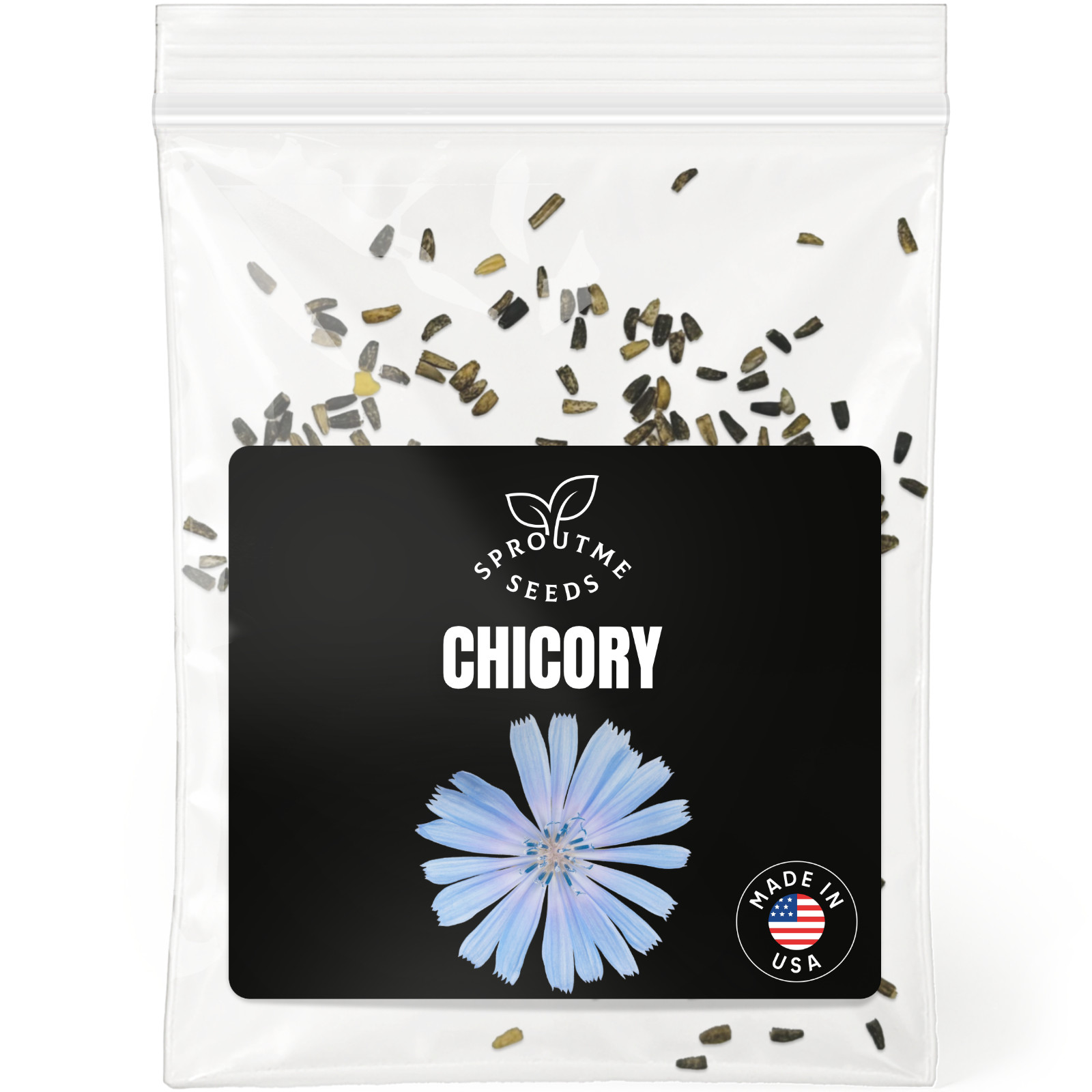 Chicory Seeds 300+, Heirloom Non-GMO, Hardy Leafy Greens