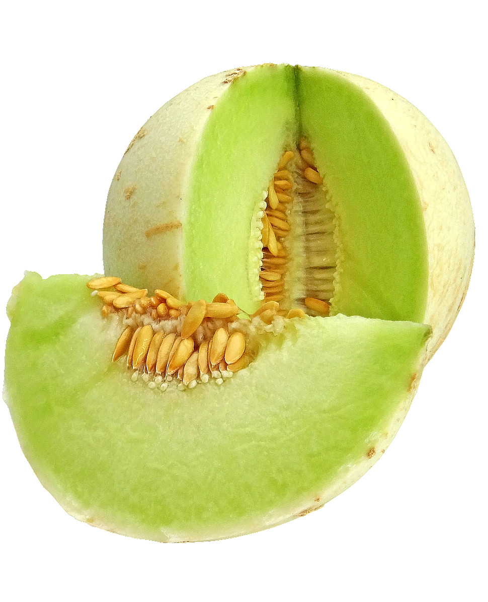 100 HONEYDEW SEEDS SPRING SUPER SWEET FRESH MELON FRUIT NON-GMO HEIRLOOM USA