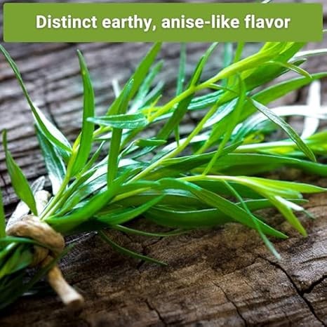Sow Right Seeds Tarragon Seed Collection – Non-GMO Heirloom Varieties