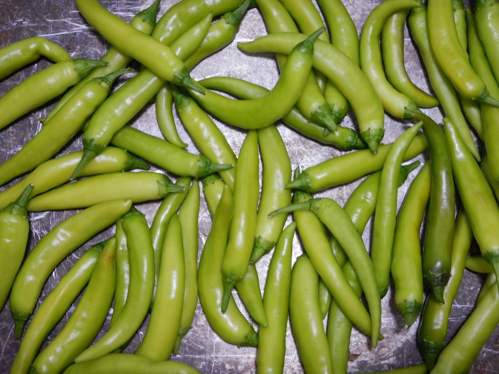 SINIGANG GREEN FINGER SILI HABA PEPPER SEEDS FILIPINO PHILIPPINES 25 PER PACK 