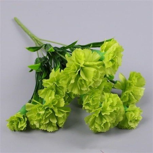 100 Carnation Seeds Dianthus Flowers Seed Flower Perennial “Bright Green”
