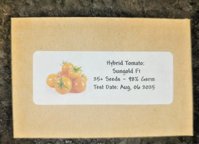 25 Sungold Cherry Tomato Seeds – Free Shipping Organic NonGMO Authentic F1 Seeds
