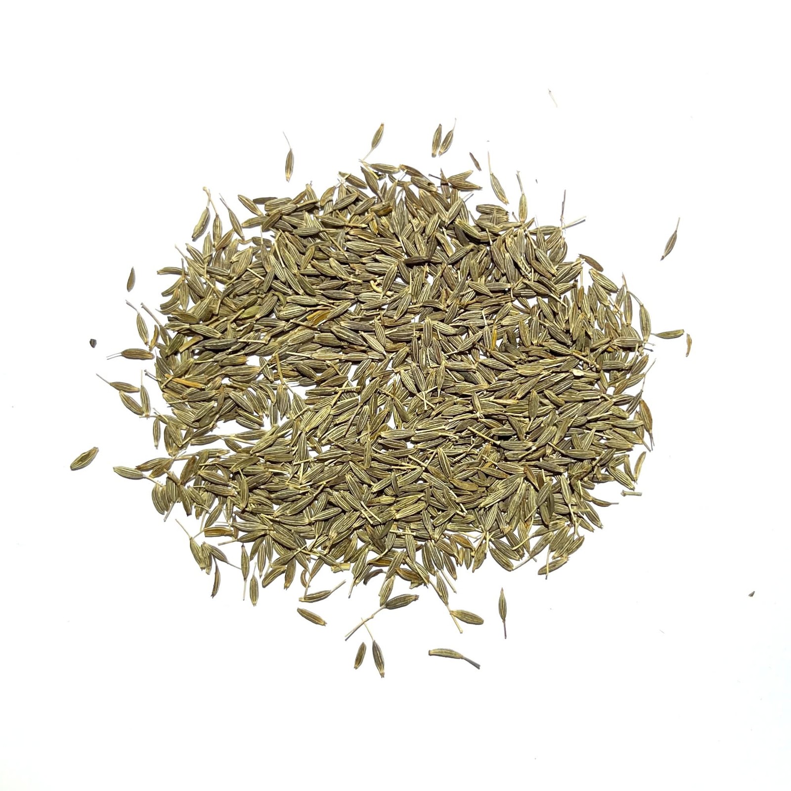 Cumin Herb Seeds For Planting (Cuminum cyminum)