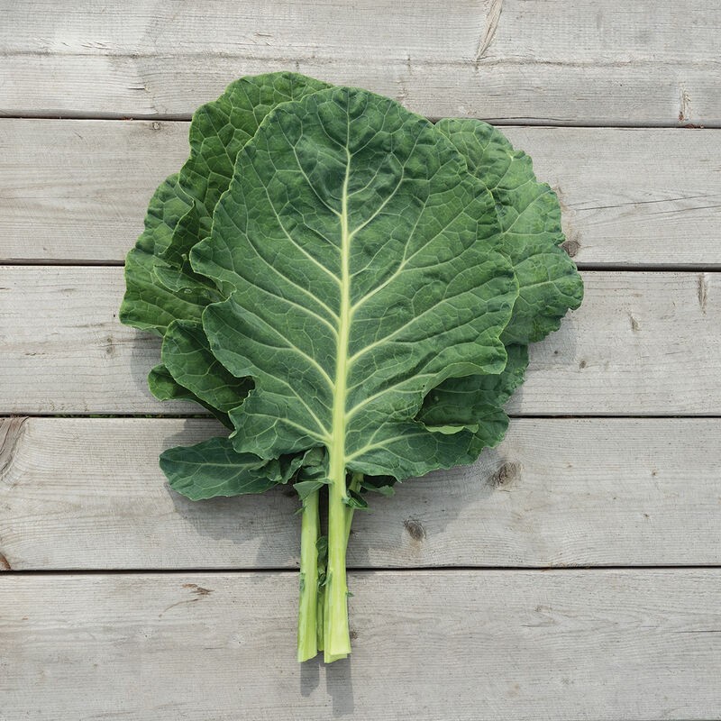 Cash Crop Collard Greens – 100 Seeds