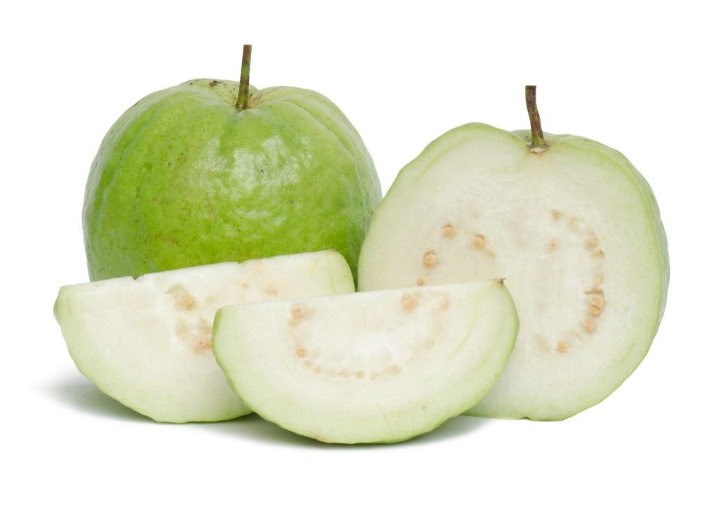 Thai Guava SEEDS 60+ Fresh 2026 Free Shipping