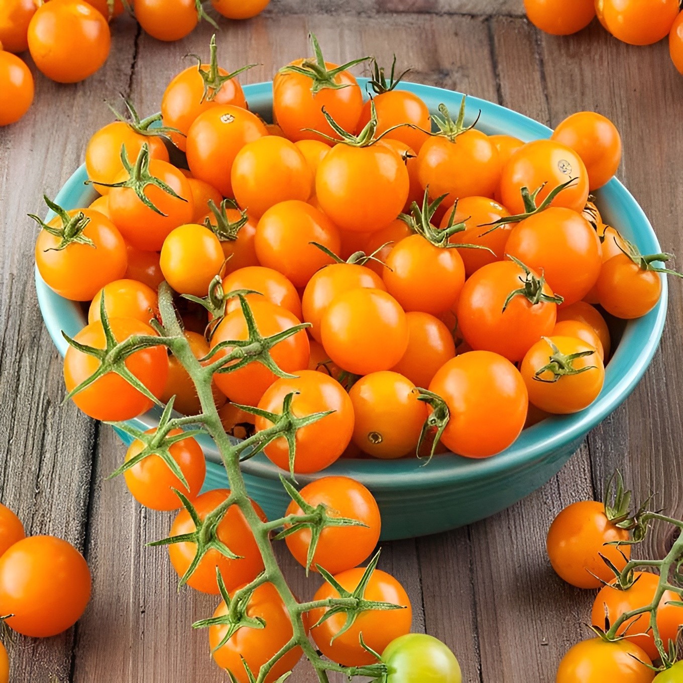 100 Heirloom Orange Cherry Tomato Seeds Very Sweet Bite Sized! Indeterminate