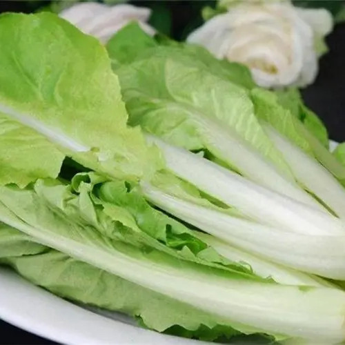 Pakchoi -Green Star