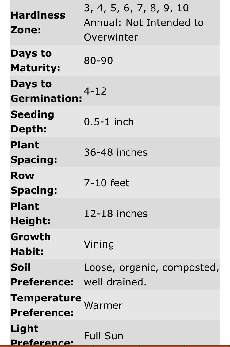 25lb Bag Of Organic Crimson Sweet Watermelon Seeds – 230,000+ Seeds – Non GMO