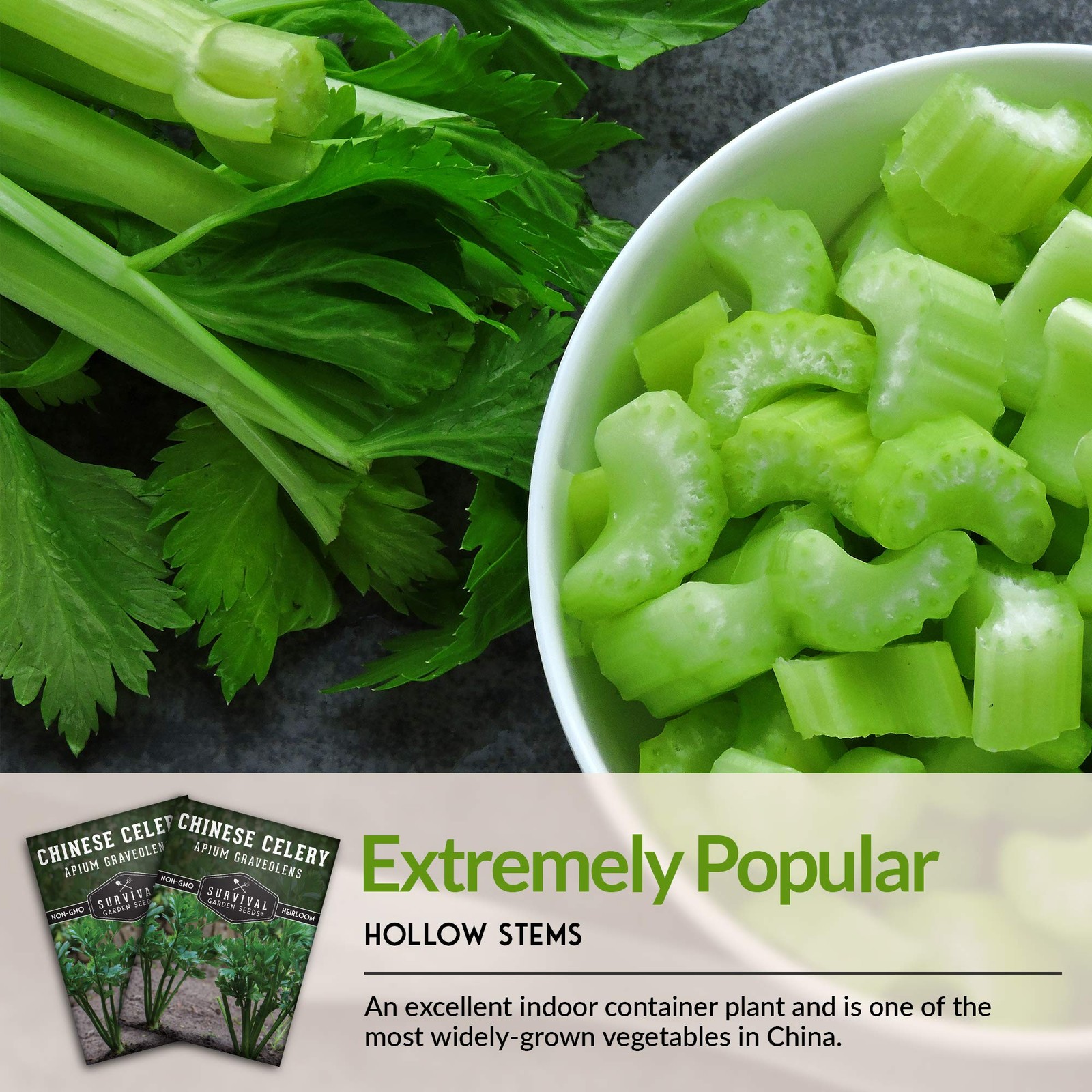 Chinese Celery Seeds for Planting – 1 Packet with Instructions to Grow Asian …
