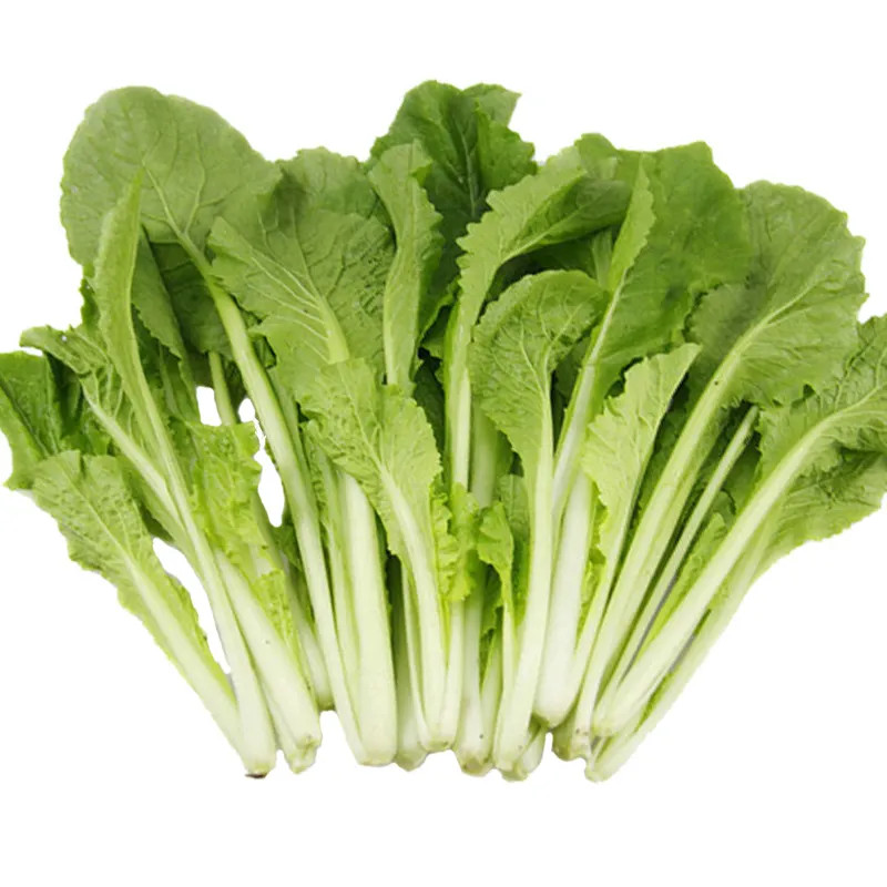 Pakchoi -Green Star