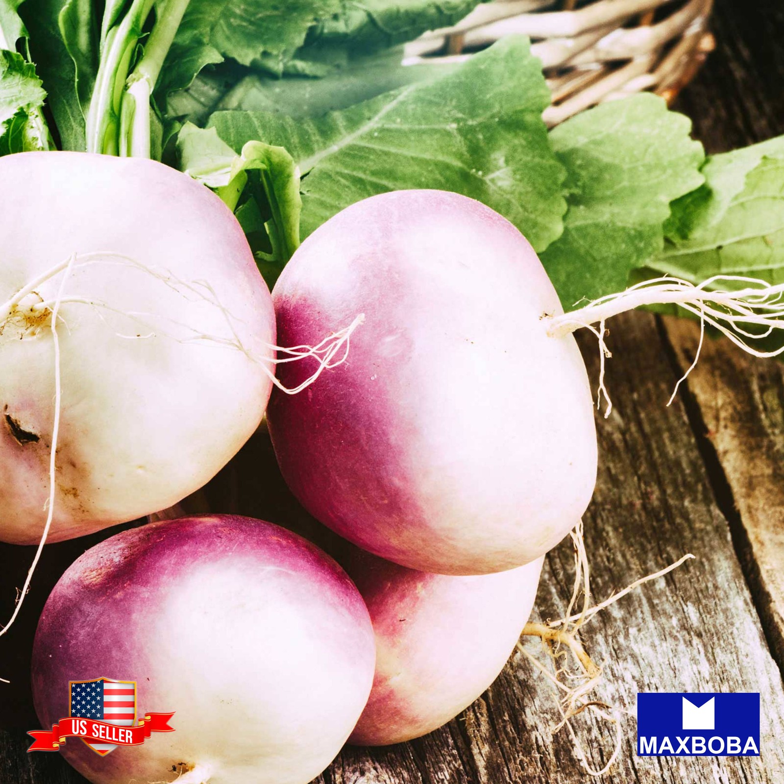 Premium Fresh 16000 Seeds Turnip Purple Top White Globe Non-GMO Heirloom Garden