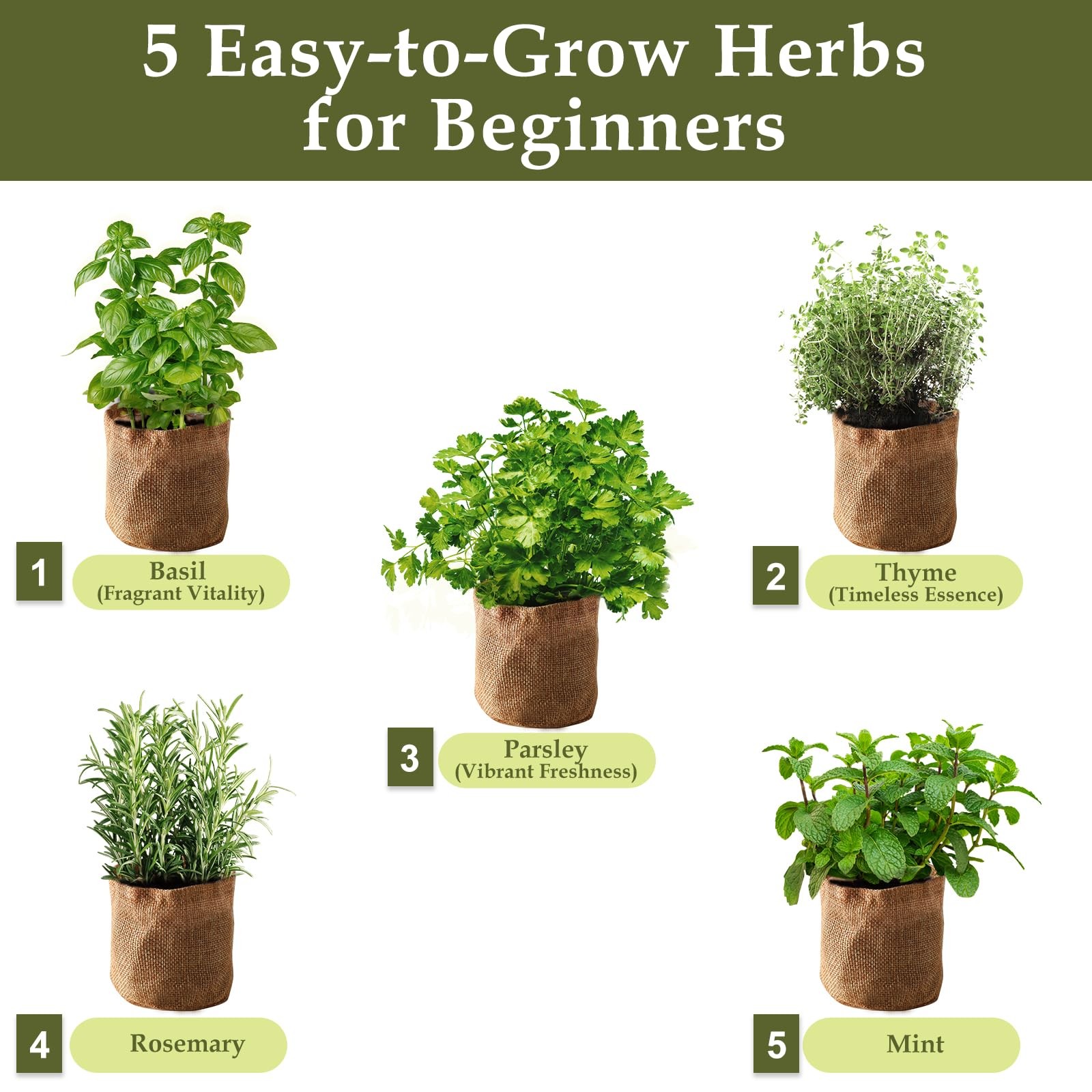 Indoor Herb Garden Planter Kit with Wooden Box – Seed Starter for Basil, Thyme