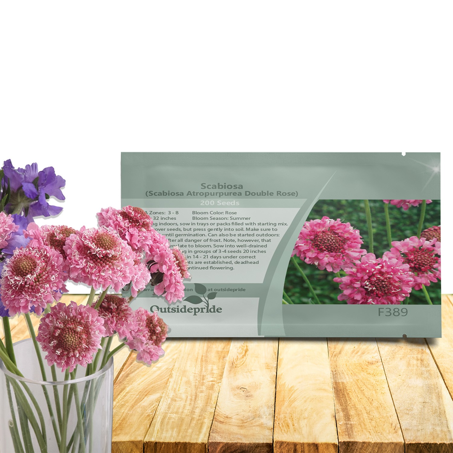 400 Seeds Scabiosa Rose Drought Tolerant Pincushion Garden Flower Plant Seeds