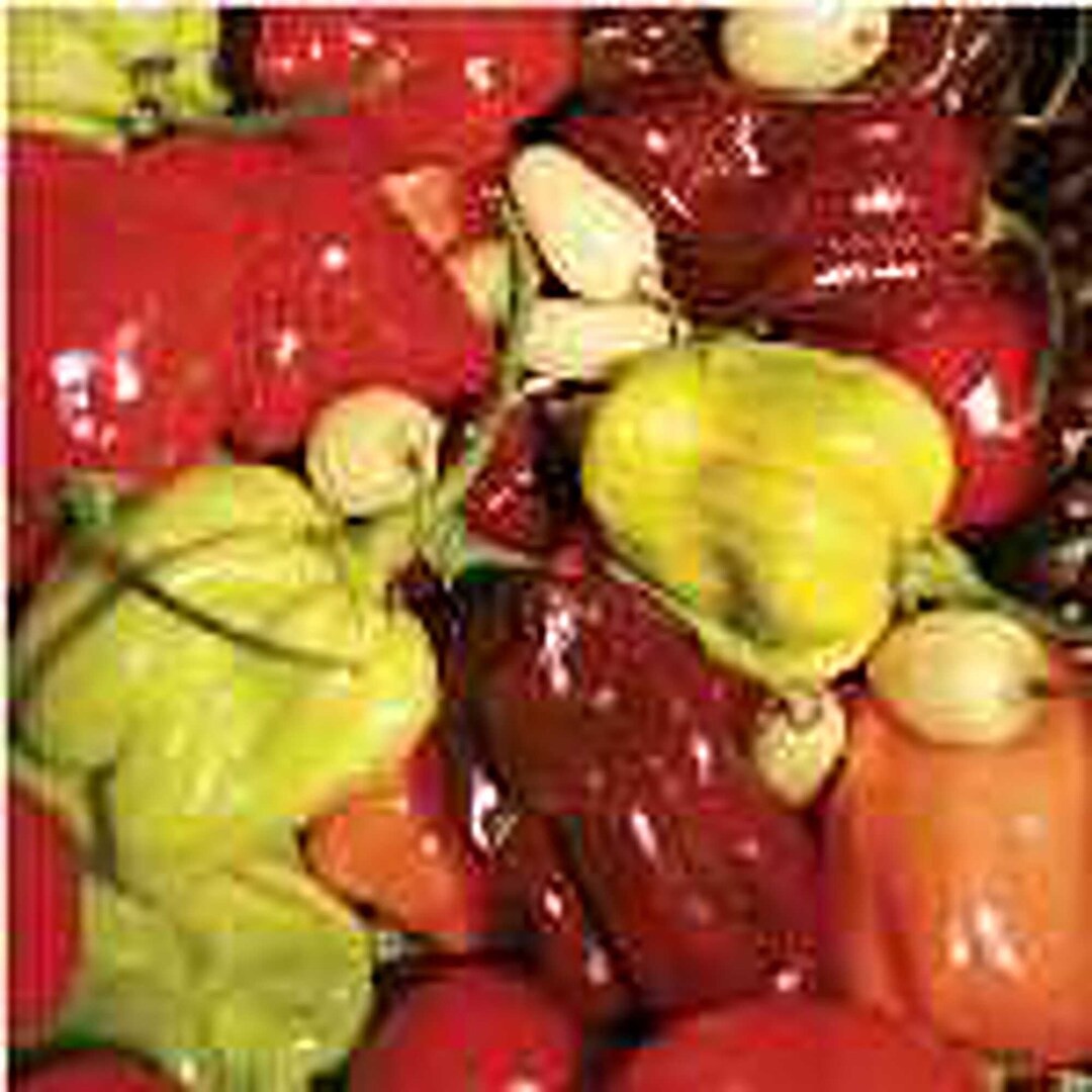 Firestarter Blend Habanero Pepper Blend 10 Seeds Free Shipping!