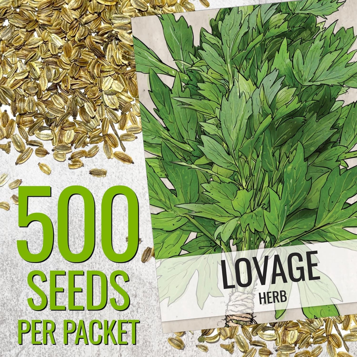 Lovage Seeds for Planting – Non-GMO Heirloom & Untreated Herbs to Plant a Med…