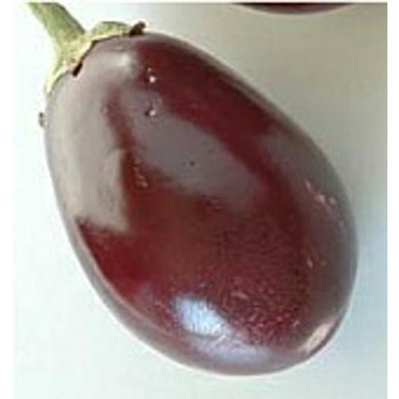 51+RAVAYYA EGGPLANT Seeds Organic India Heirloom Vegetable Garden Container Easy