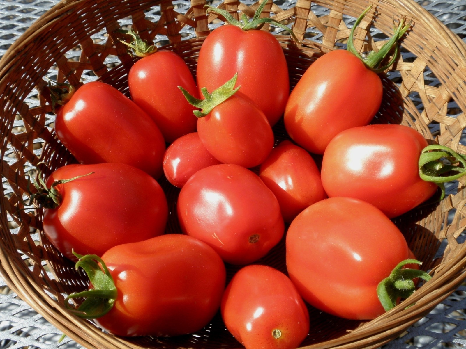 Roma VFN- Heirloom Tomato Seeds- 75+ 2021 Seeds