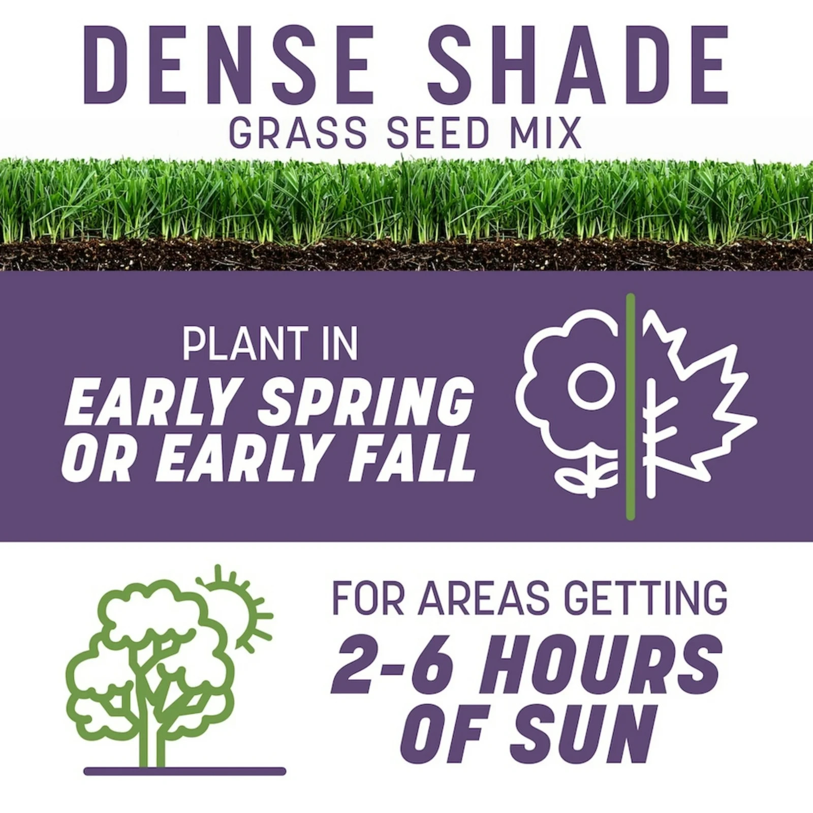 Pennington Smart Seed Dense Shade Grass Mix Fescue Lawn Seed Partial Shade 7 lb