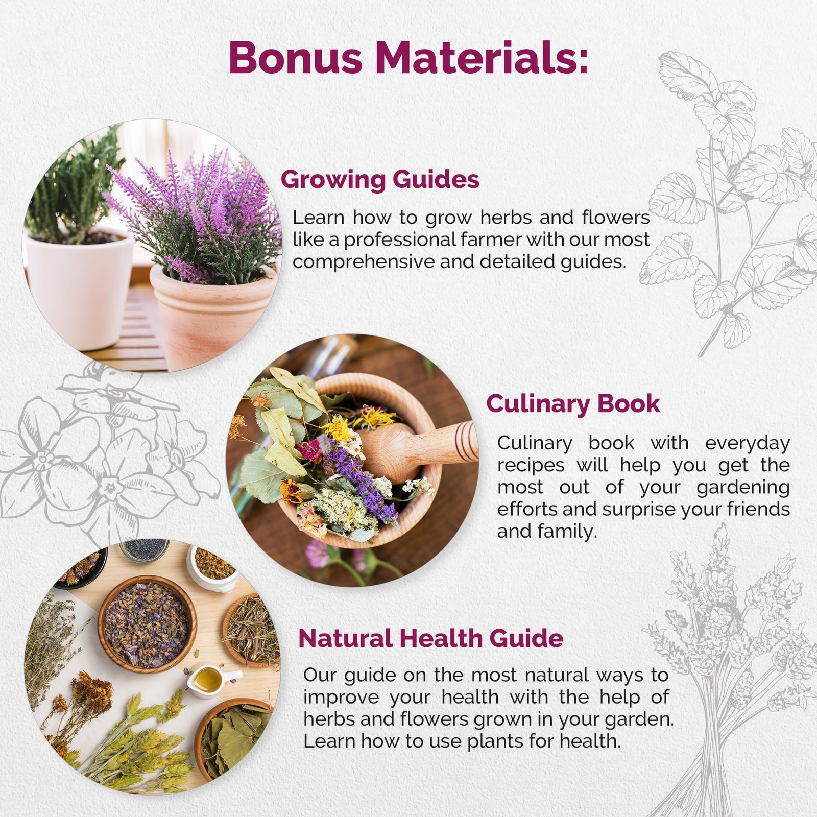 30 Culinary Herbs & Edible Flower Seeds Variety Pack- Indoor/Outdoor. 7400+ N…