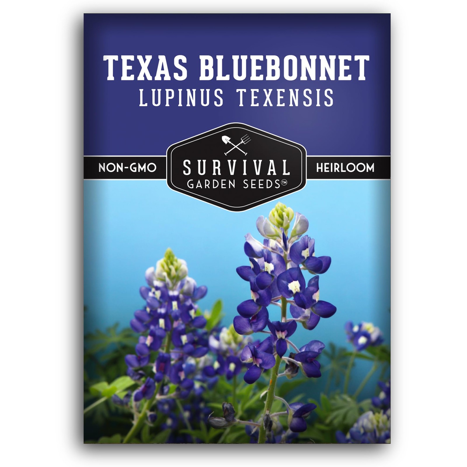 Texas Bluebonnet Seeds for Planting – 1 Packet with Instructions to Plant & G…