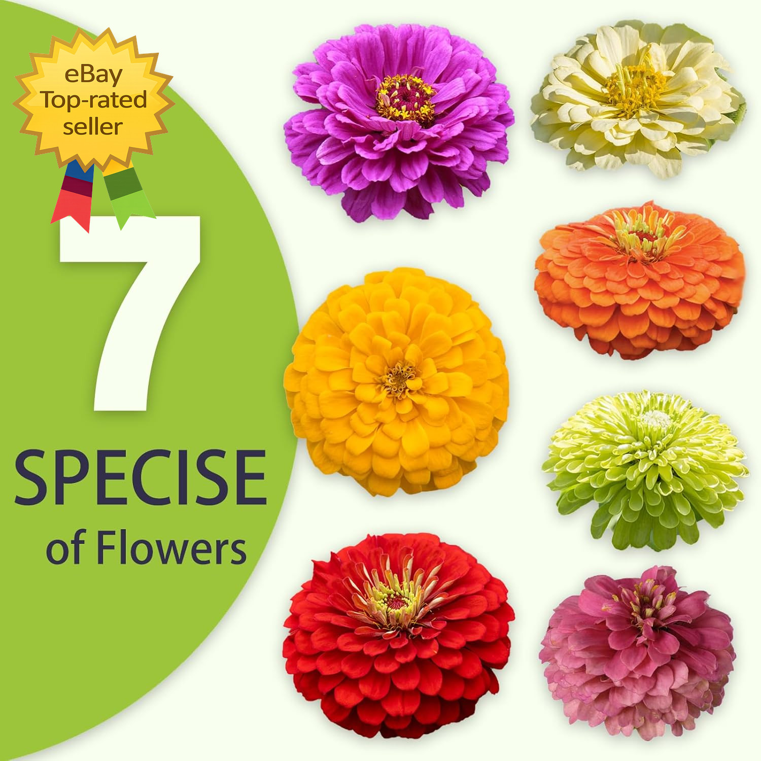 Zinnia Seeds Bulk 5,000 plus Outdoor Flower for Planting Giant Zinnia Seeds for