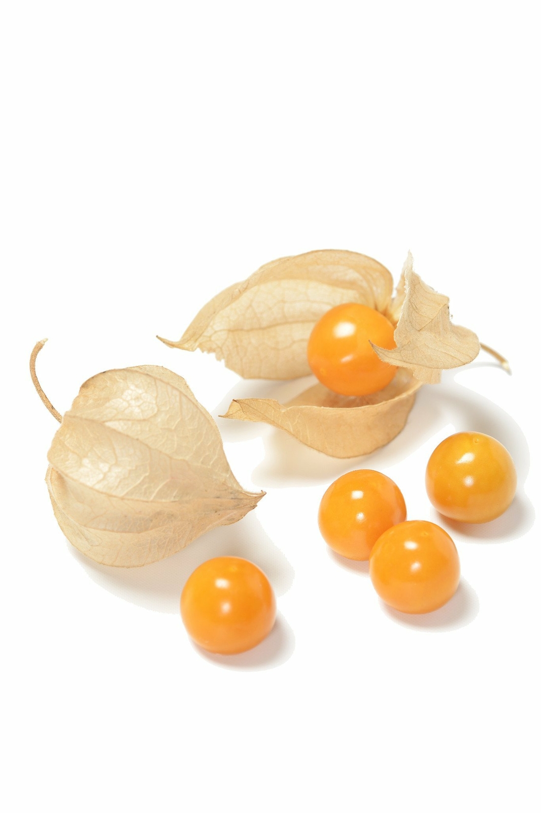 Organic Goldie Ground Cherry – Physalis pruinosa