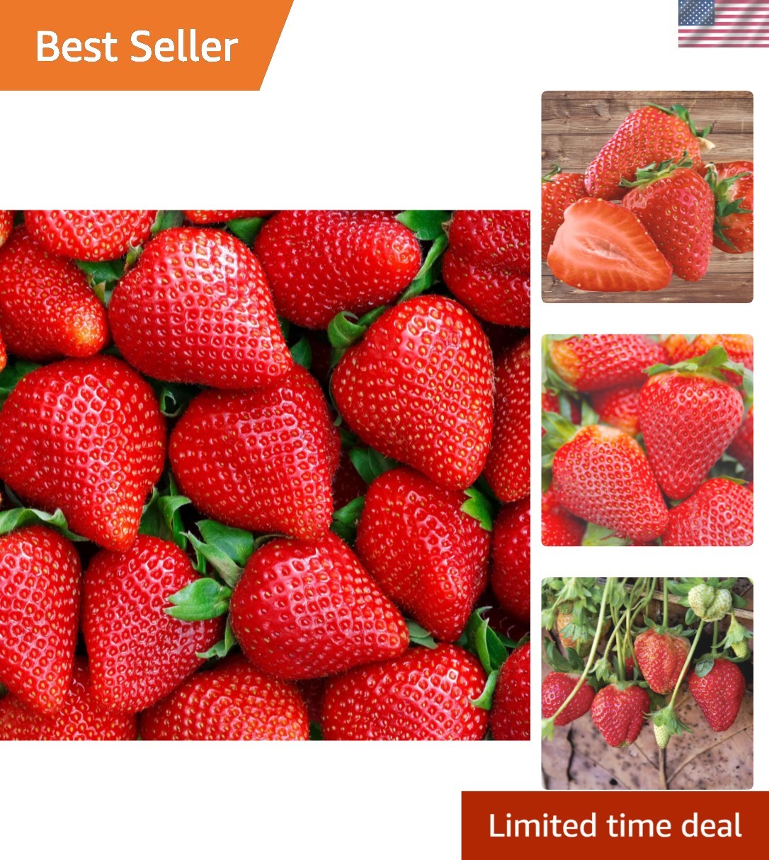 Attract Pollinators with 2000+ Non-GMO Strawberry Seeds – Perfect for Gardens