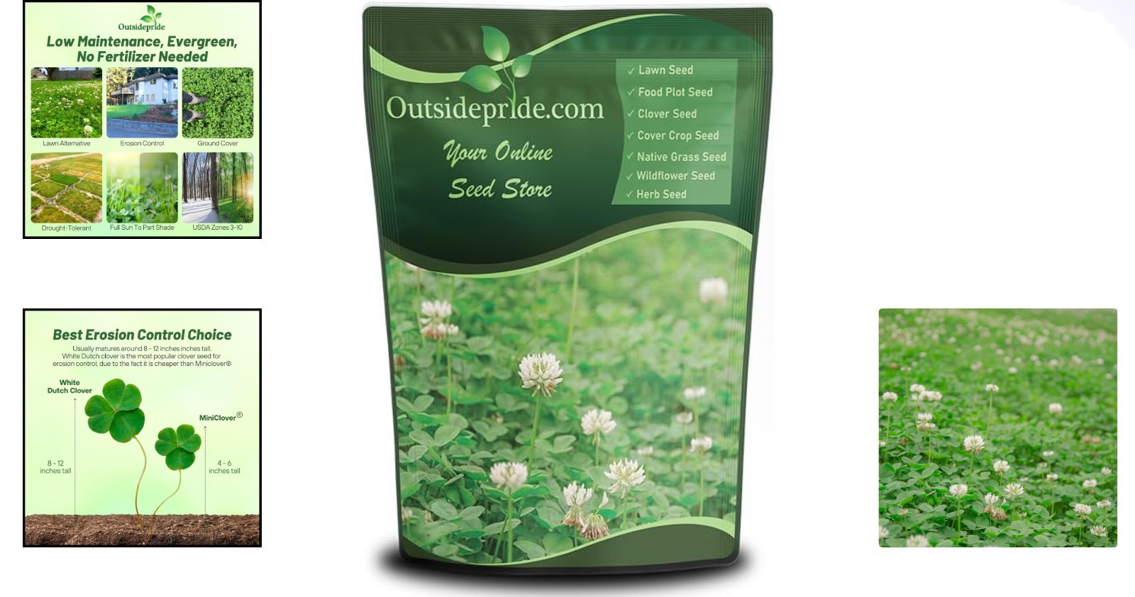 Erosion Control & Food Plot Clover Seed – 1/4 lb Nitrocoated White Dutch Clover