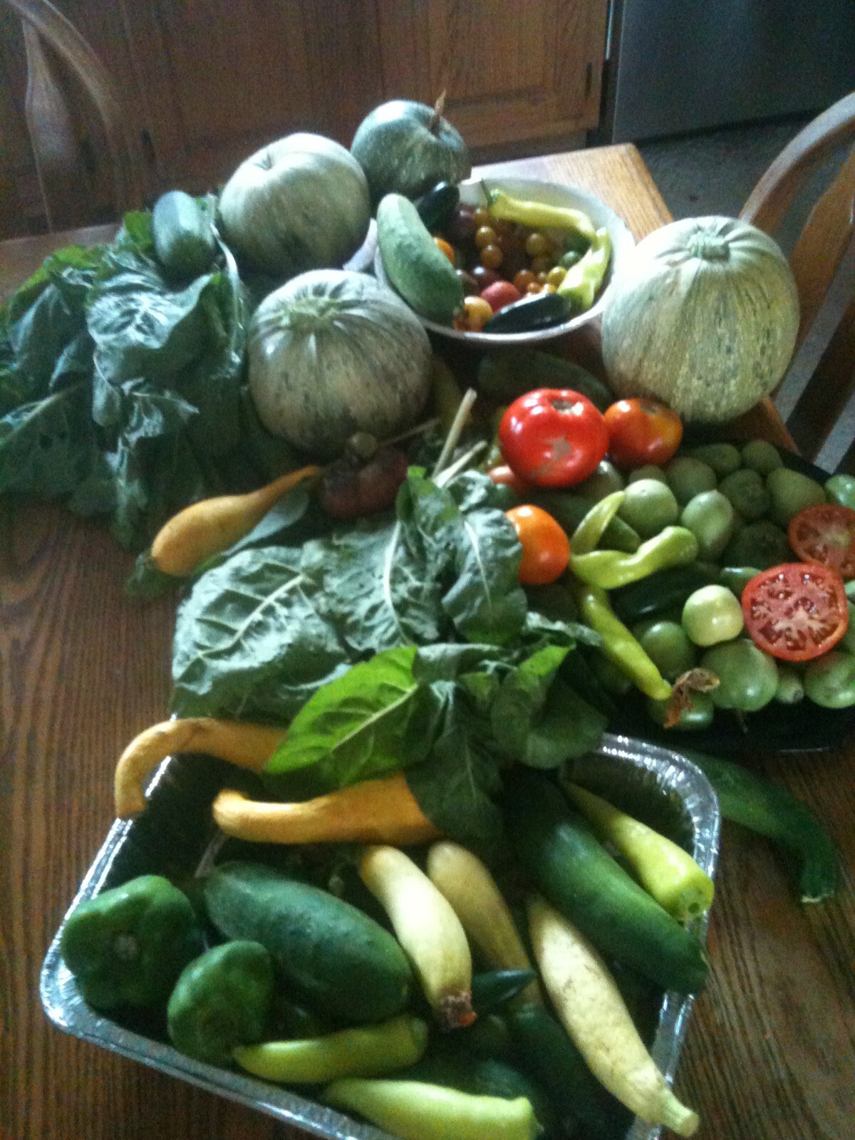 PREPPERS DOOMSDAY SURVIVALIST CACHE 167 Varieties! 4LBS SPROUTS 3 Million SEEDS