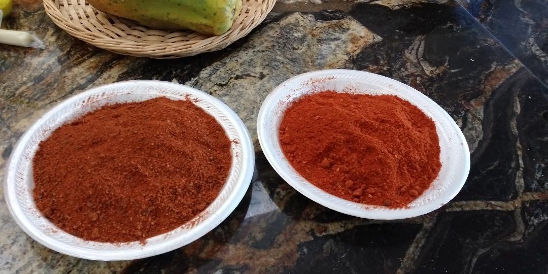 Organic Avocado Seed Powder – 100% Natural Superfood & Antioxidant 1.05oz