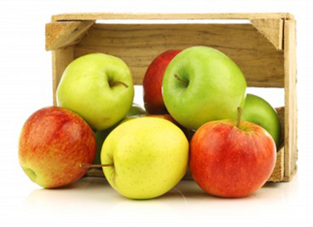 10+ All type Apple Tree Seeds Planting Fuji Gala Crisp Pink Lady Gold/Red Deli..