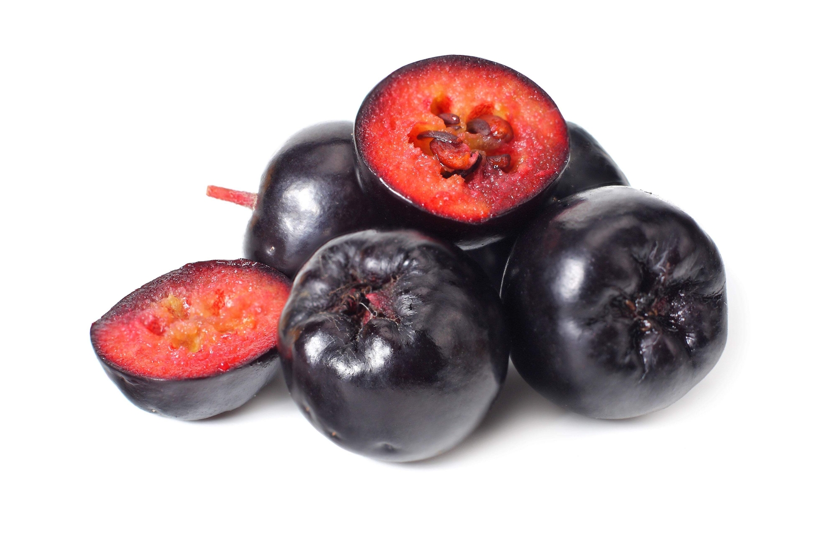 50 BLACK CHOKEBERRY Aronia Melanocarpa White Flower Shrub Seeds