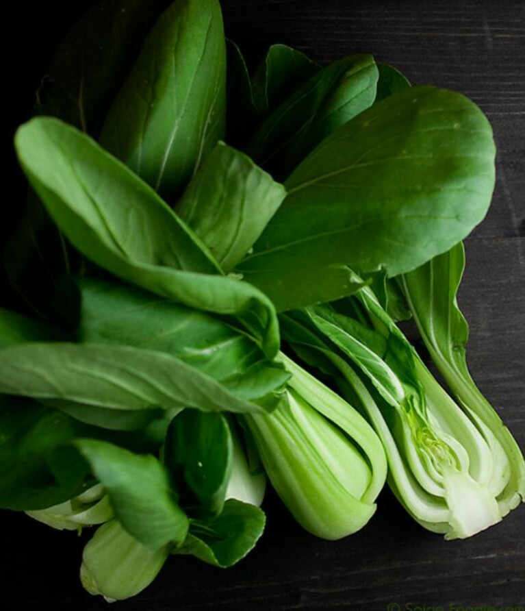 400 Pak Choi White Stem Cabbage Seeds-Non GMO-Open Pollinated-Organic.