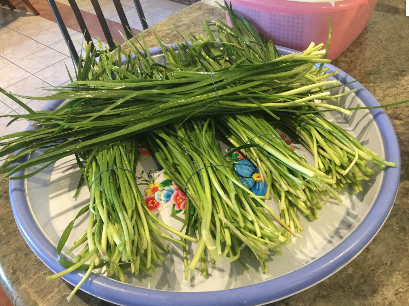 White Water ,Buffalo Spinach,CHIVES, Seeds(Rau Muống,Hẹ ,Rau Ngổ not Ngò Ôm)
