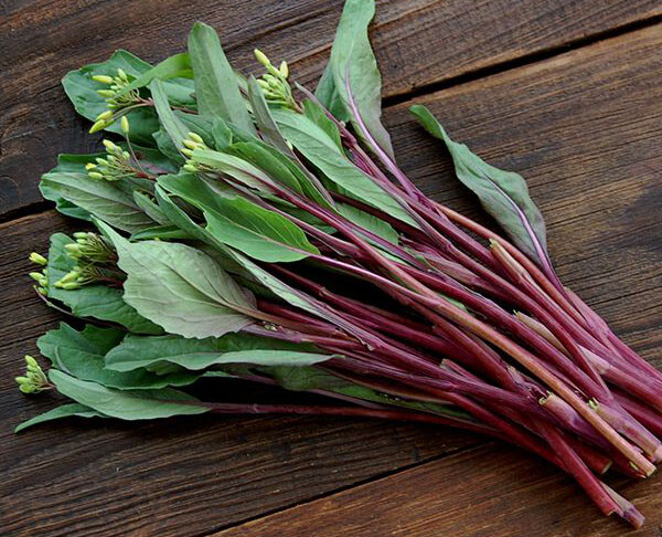 200+Purple Choy Sum seeds Hon-Tsai Tai Kosaitai Chinese Flowering Cabbage USA