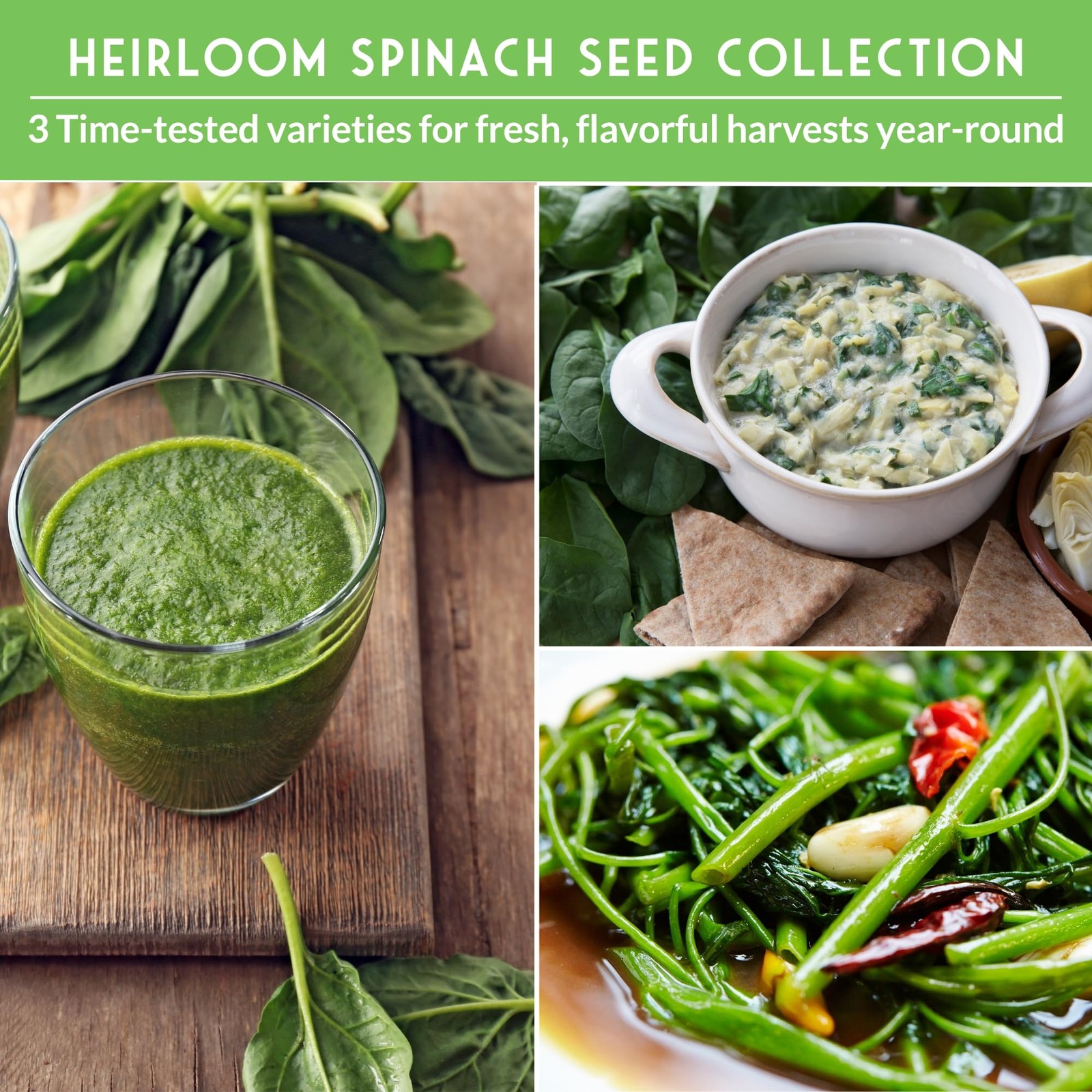 Spinach Seeds 3 Variety Heirloom Planting Pack NonGMO OpenPollinated Garden