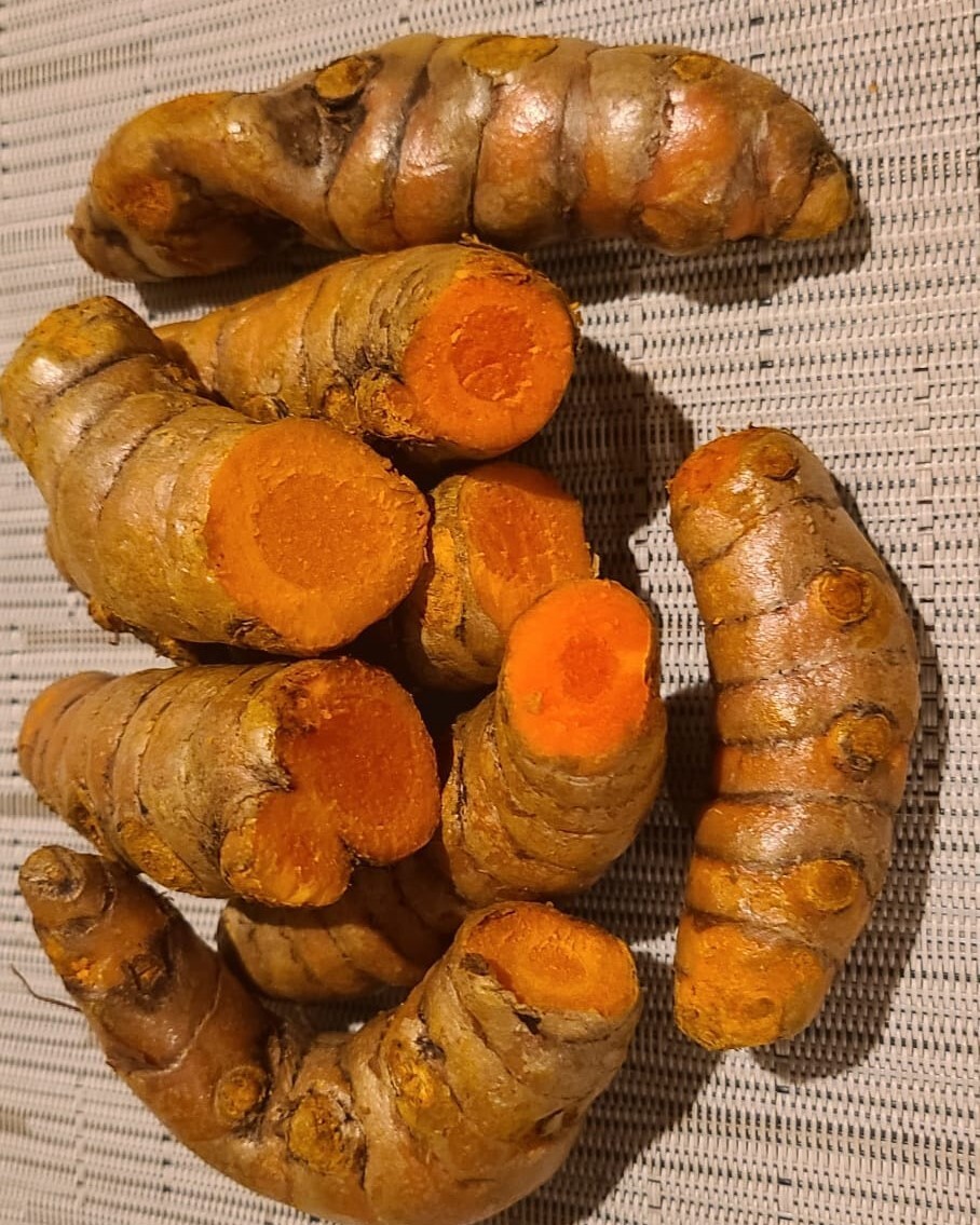 Fresh Organic Yellow Turmeric Root. 1/4-lb package- Free Shipping