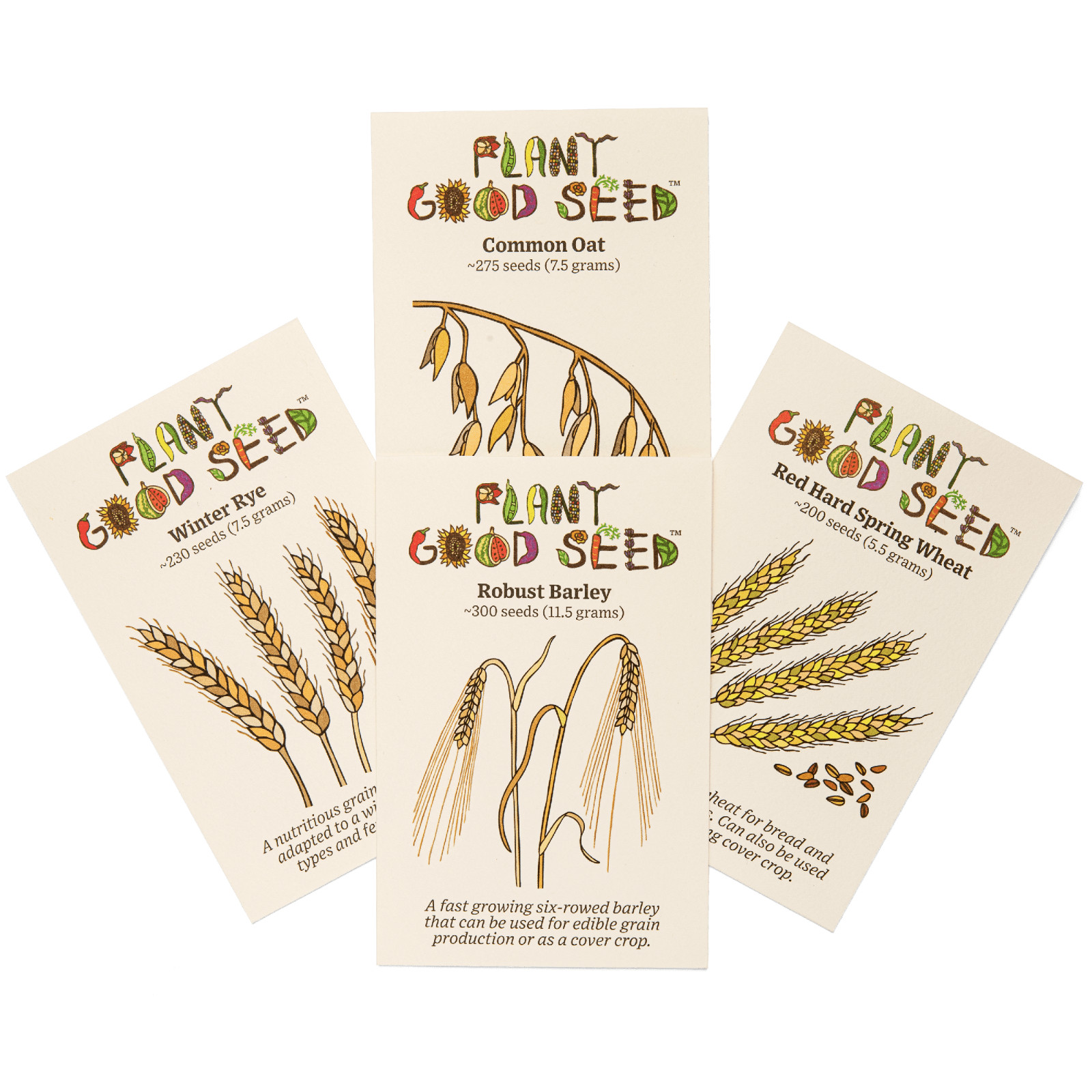 Great Grains Seed Collection For Planting, Easy to Grow, USA Grown, Non-GMO OG