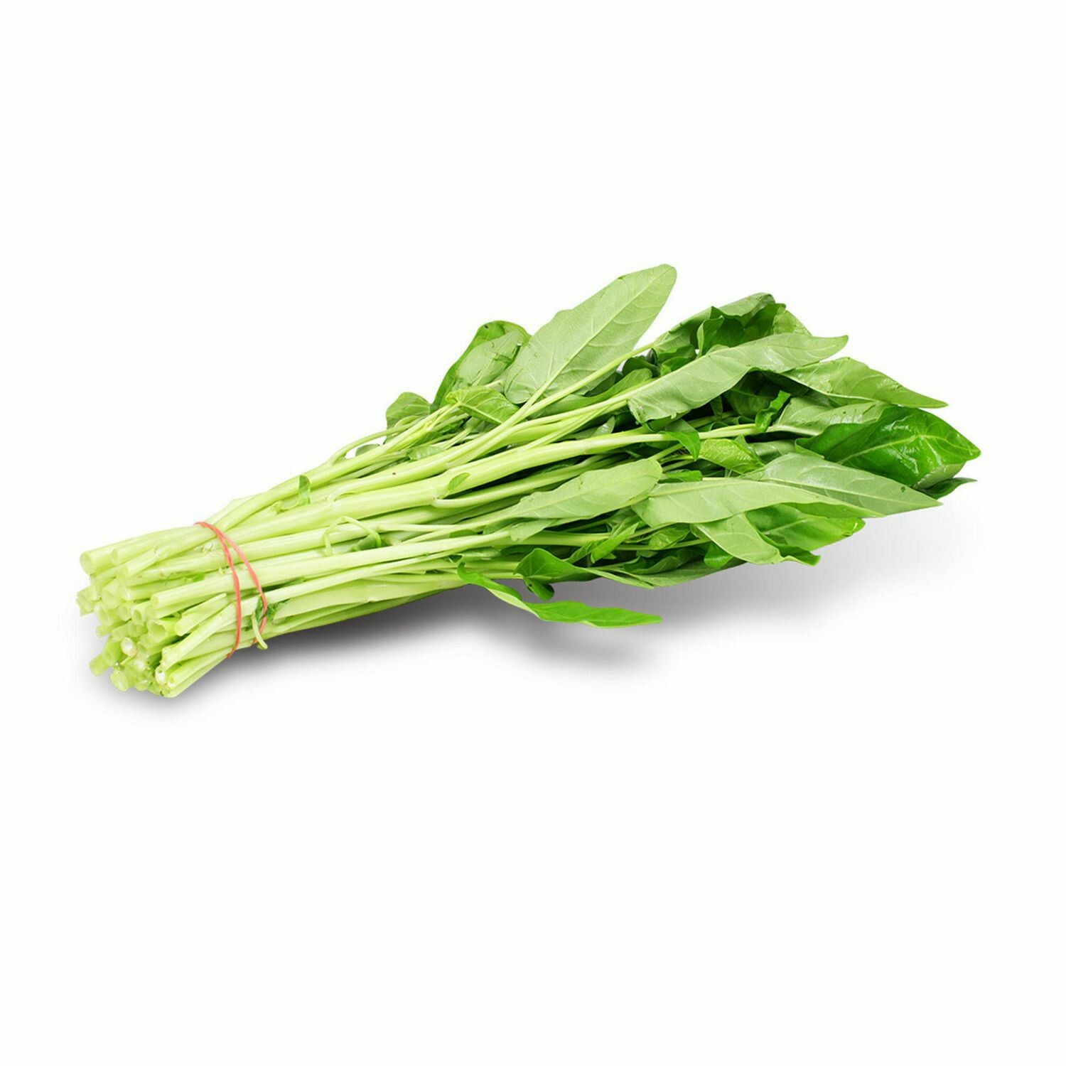 250+ White Stem Water Spinach seeds( rau muống trang ) ong choy kang kong