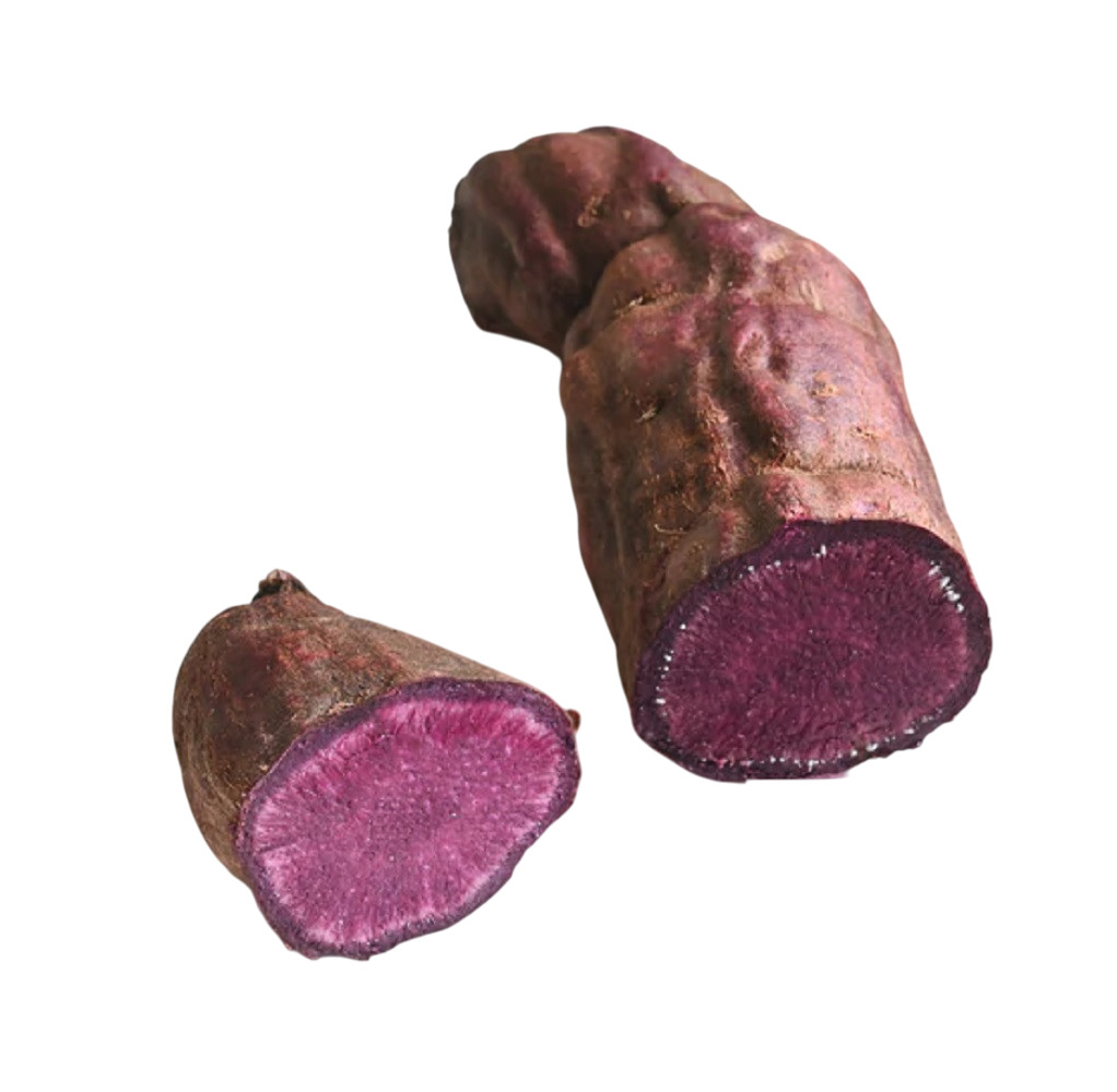 15 Molokai Sweet Potato Cuttings: Organic Sweet Potato Slips – Set of 15 Slips