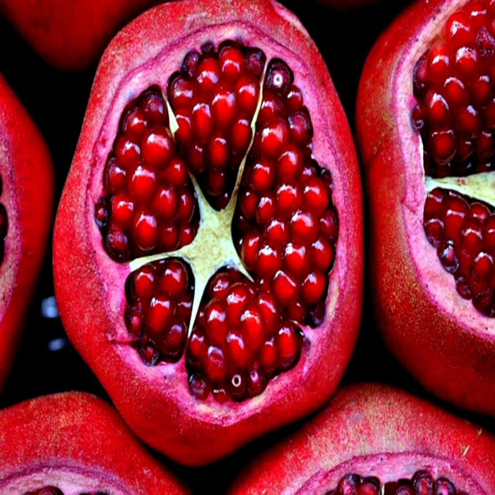 20 DWARF Pomegranate Tree Seeds (Punica granatum) Nana Garden Fruit House Plant