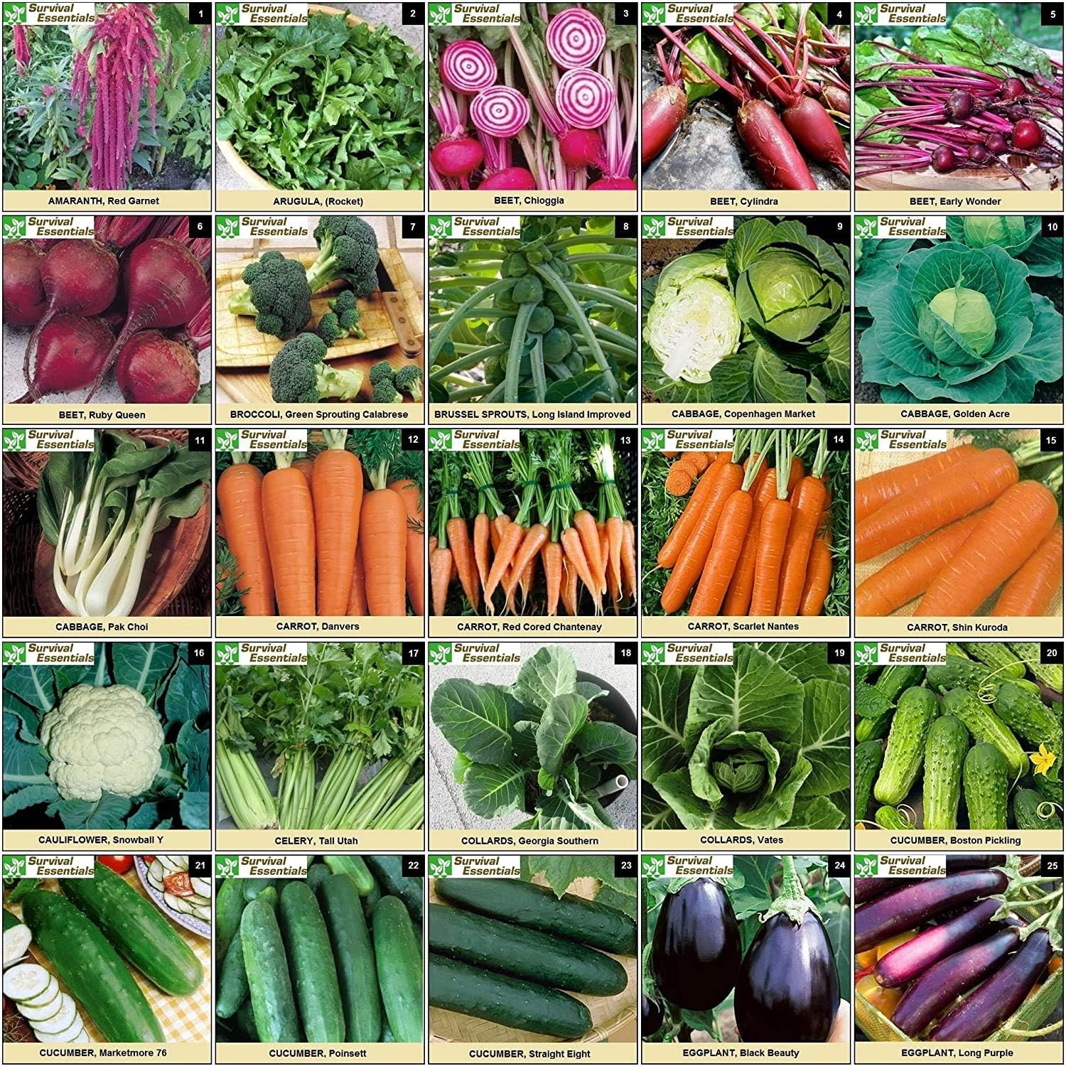 Garden Heirloom Seed Vault, 100 Variety, over 17,500 Vegetable, Fruit, and Herbs