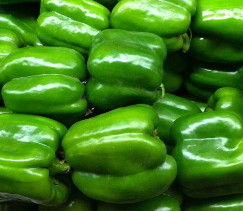GREEN BELL PEPPER SEEDS 30+ Keystone Resistant Giant SWEET PEPPER FREE SHIPPING