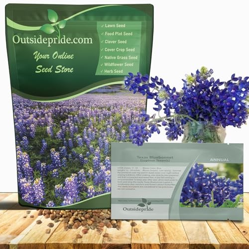 Texasbonnet Seeds – 500 Pcs Annual Lupinus Texensis, Heirloom 0.04 lb. Blue
