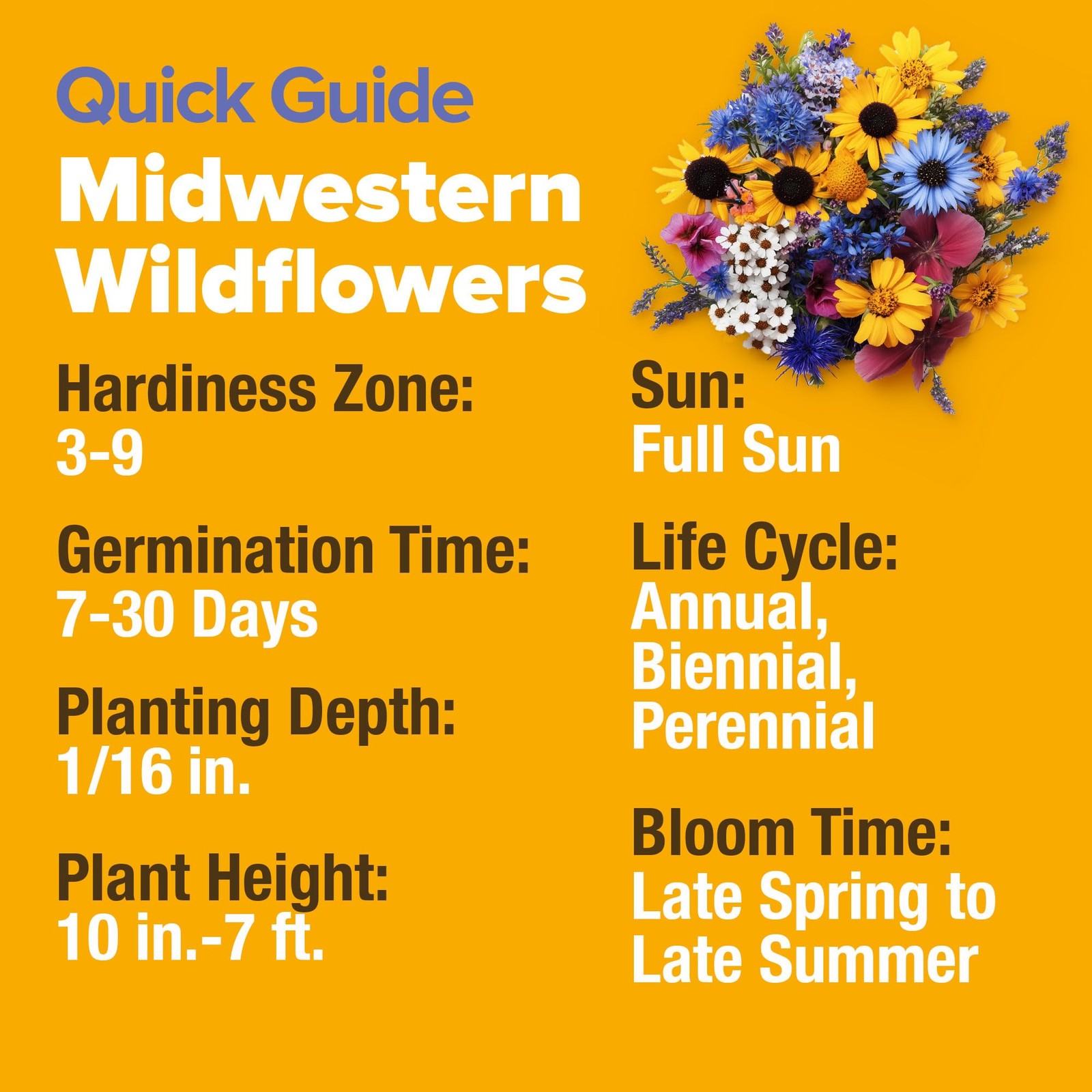Midwest Wildflower Seeds 2oz 15 Varieties Annual Perennial Open Pollinated